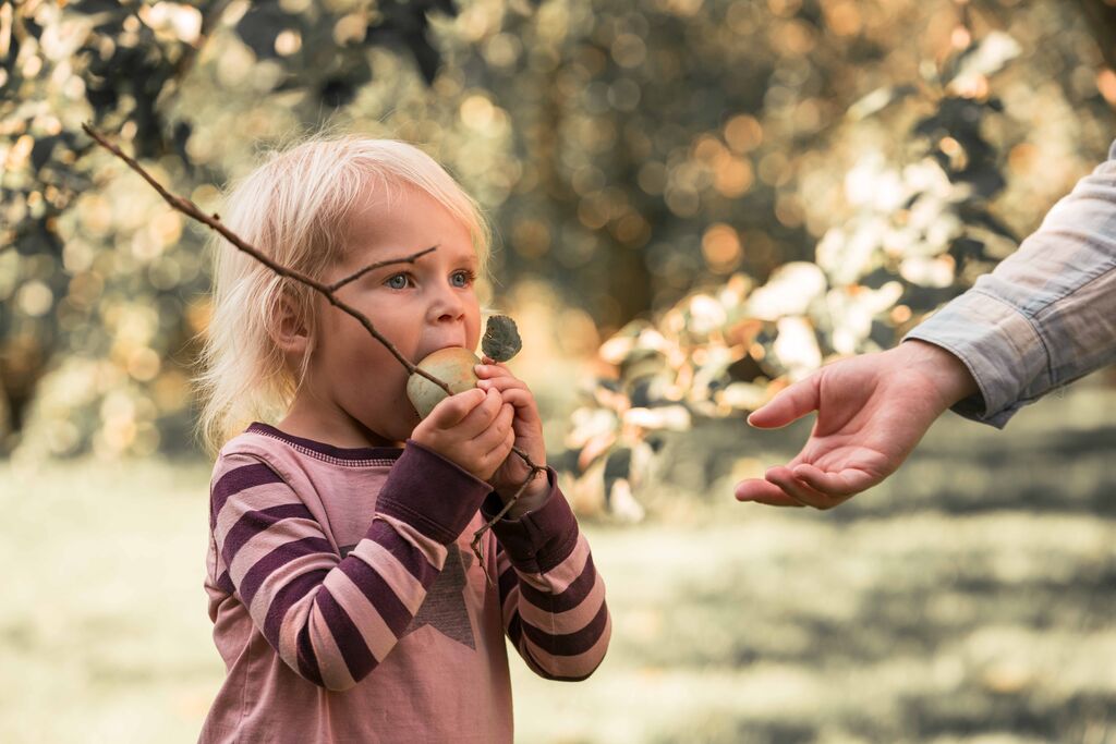Pige bider i æble i skoven